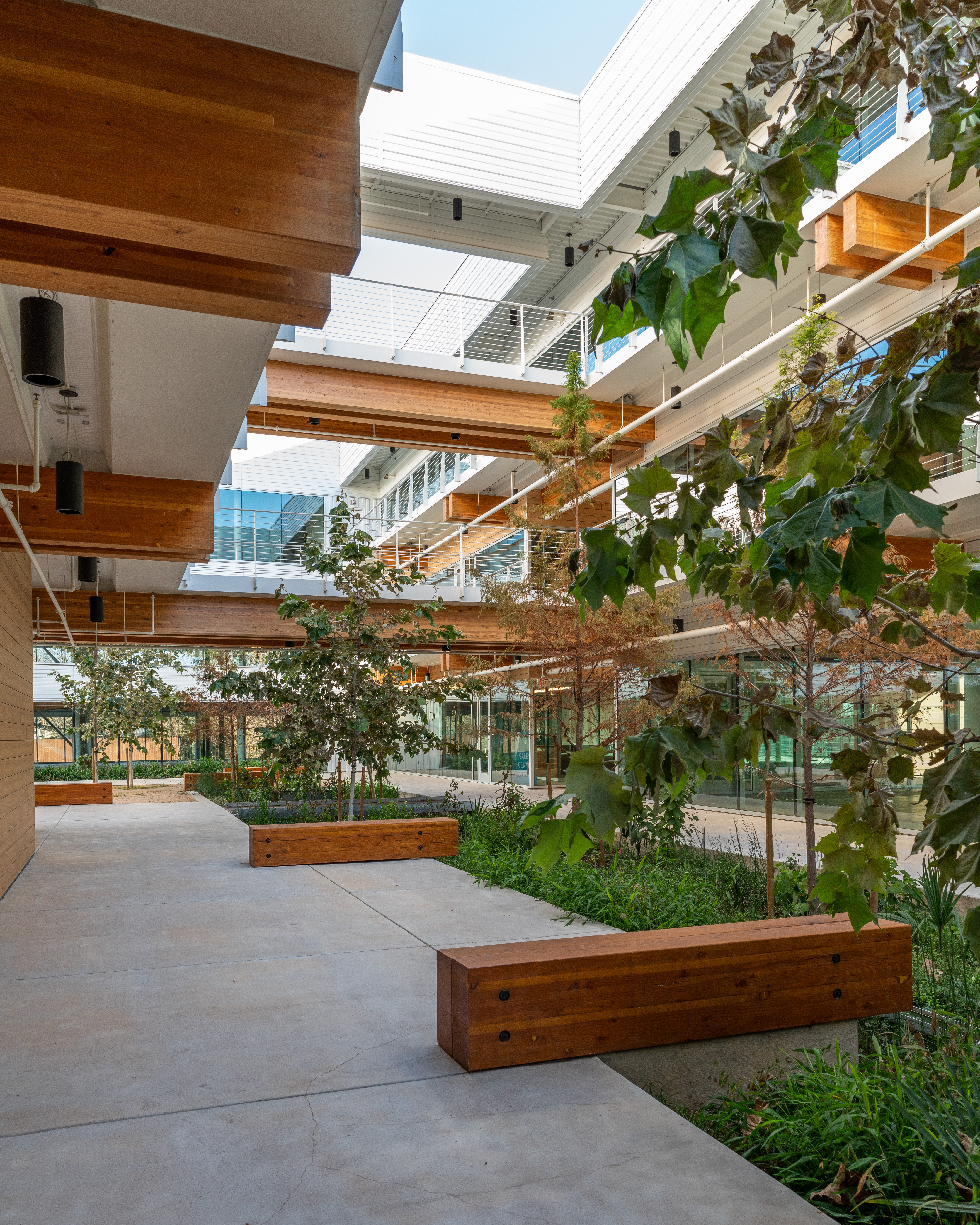 Timberlyne Fifth Tillery Office Mass Timber 1