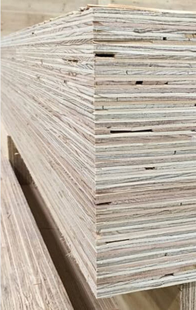 Mass timber mass plywood panel